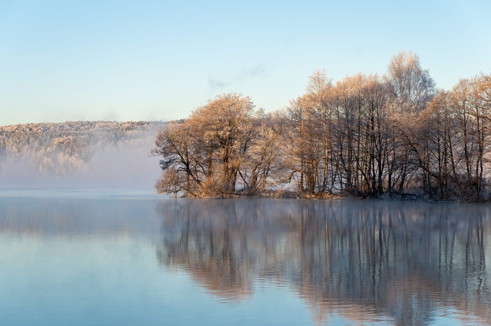 Stiller See im Morgennebel mit reifbedeckten Bäumen am Ufer, die sich im spiegelglatten Wasser spiegeln